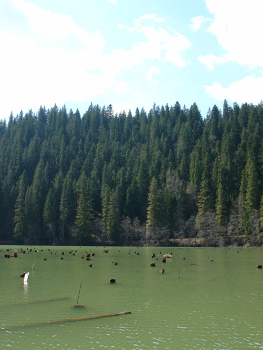 Gyilkostó Gyilkostó